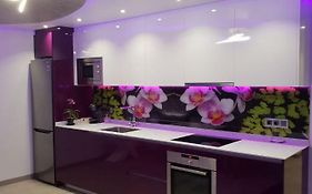 Dary Rent Orquidea